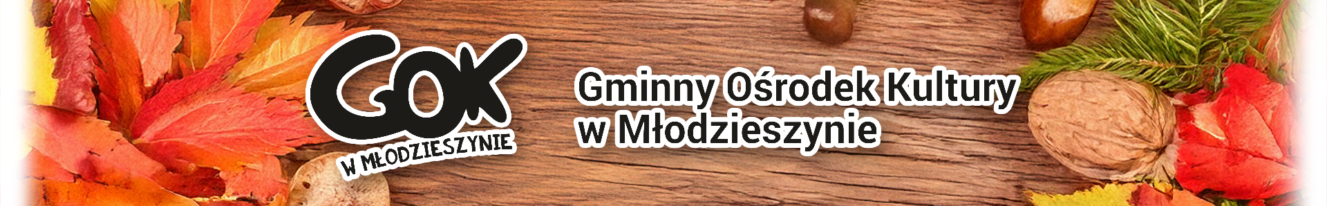 Gminny Ośrodek Kultury w Młodzieszynie