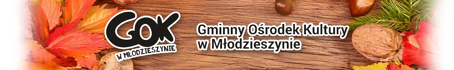 Gminny Ośrodek Kultury w Młodzieszynie