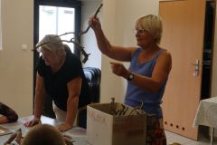 2019-08-21 Lesne stwory z patykow i kamieni 