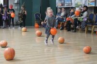 IMG_0260