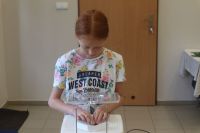 2020-07-17 Wirazowe ptaszki