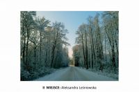 II-miejsce-Aleksandra-Lesniowska