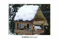 III-miejsce-Maria-Jarka