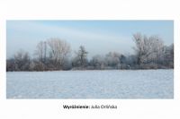 Wyroznienie-Julia-Orlinska