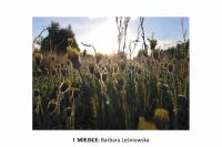 I-miejsce-Barbara-Lesniowska