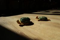 IMG_0021