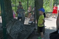 IMG_1261